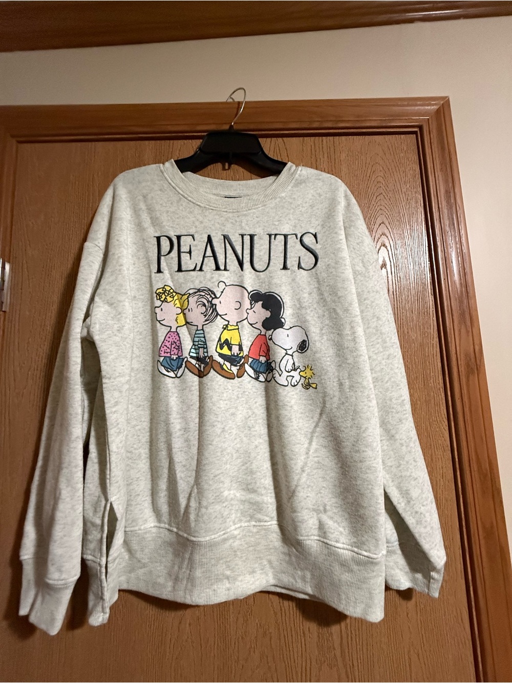Peanuts Pullover Sweatshirt in Heather Gray with Character Print